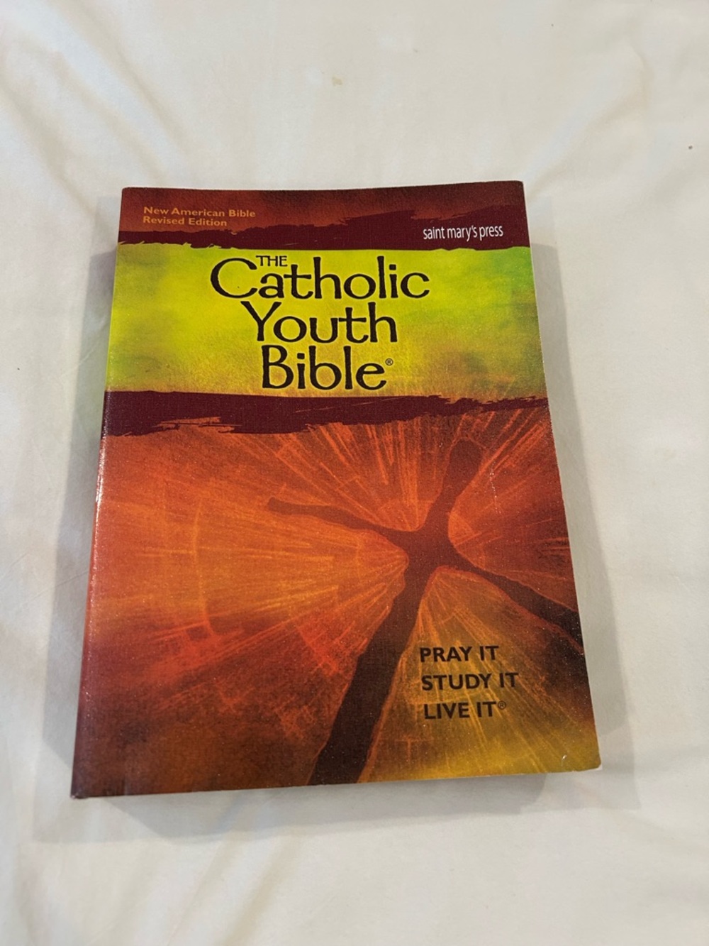 The Catholic Youth Bible - Green & Orange